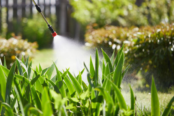 Tamper-Resistant Bait Stations for Rodents in Roscommon