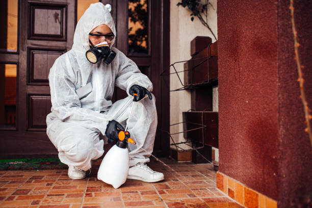 Attic and Crawl Space Rodent Treatment in Roscommon