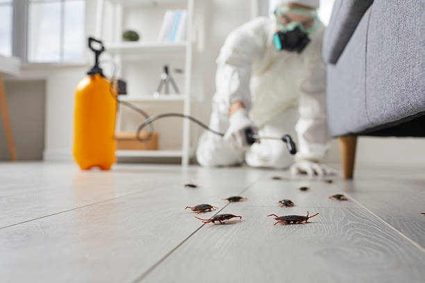 Commercial Rodent Management in Roscommon